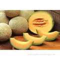 Hami Melon Fruit Juice Powder